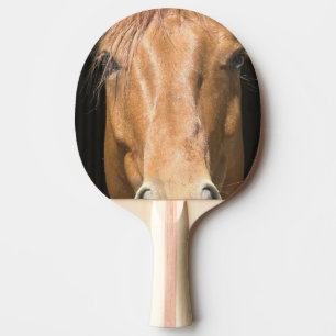 Raquette De Ping Pong chestnut-horse-4