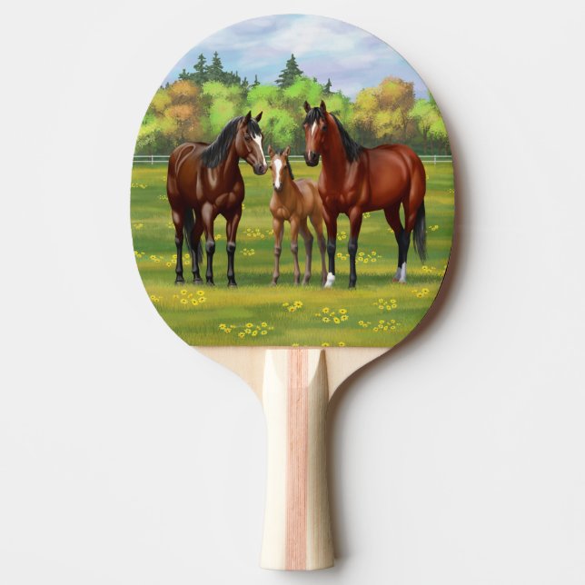 Raquette De Ping Pong Chevaux Du Quartier De La Baie Brown Dans Les Pâtu (Devant)