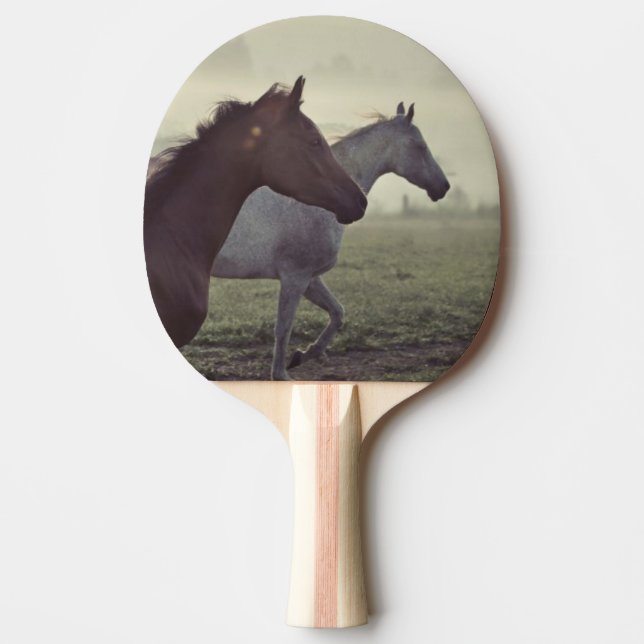 Raquette De Ping Pong Chevaux sauvages (Devant)