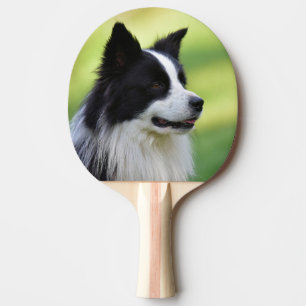 Raquette De Ping Pong Chien Border Collie noir et blanc