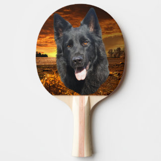 Raquette De Ping Pong Chien de berger