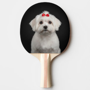 Raquette De Ping Pong Chien maltais & Bouledogue français 2 faces, styl