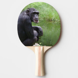 Raquette De Ping Pong Chimpanzé idiot