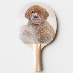 Raquette De Ping Pong Chiots Retriever doré dans la neige