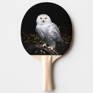 Raquette De Ping Pong Chouette hivernale majestueuse
