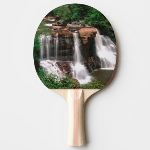 Raquette De Ping Pong Chutes de Blackwater, Virginie-Occidentale, pittor