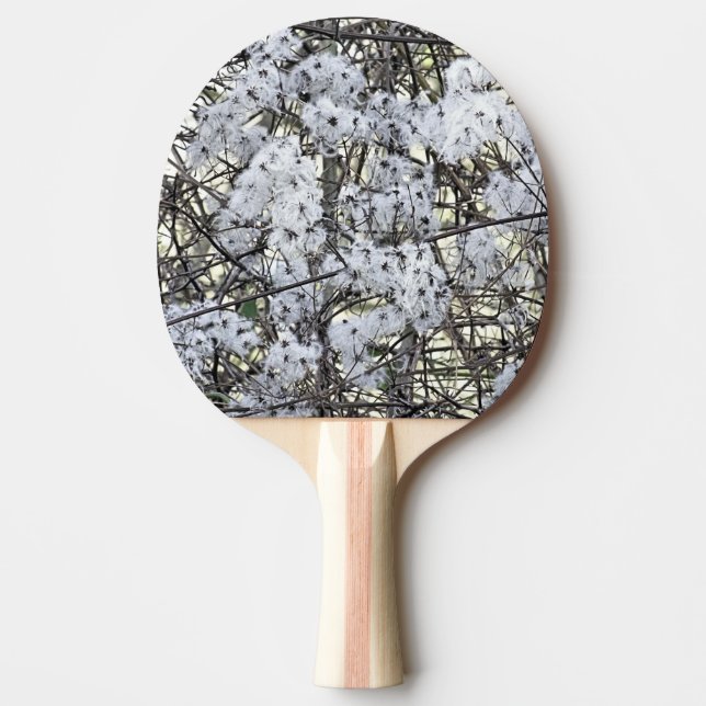 RAQUETTE DE PING PONG CLEMATITE SAUVAGE    (Devant)