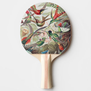 Raquette De Ping Pong Colibri, Trochilidae Kolibris par Ernst Haeckel