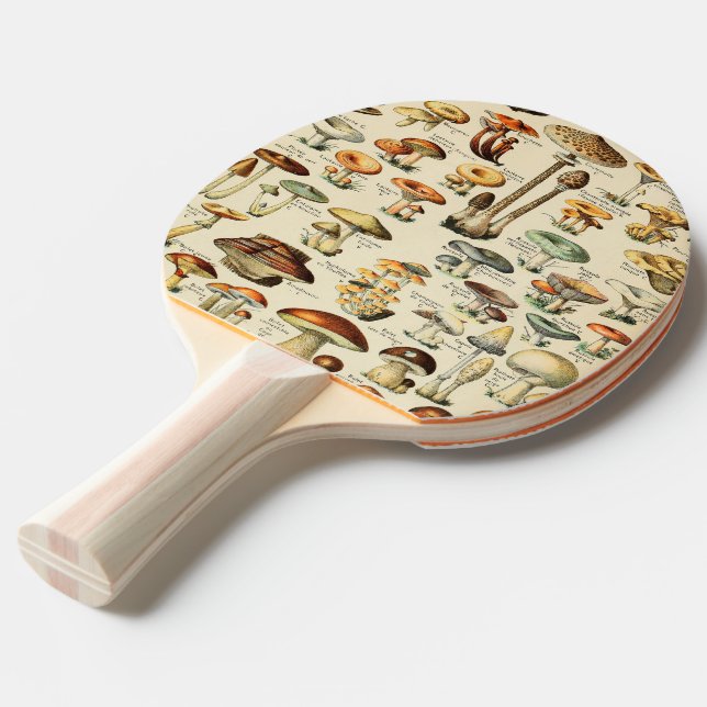 Raquette De Ping Pong Collection de champignons  (Devant Angle)