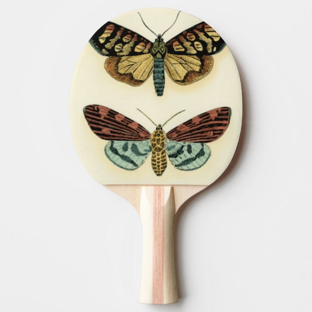Raquette De Ping Pong Collection de papillon par Chariklia Zarris (Devant)