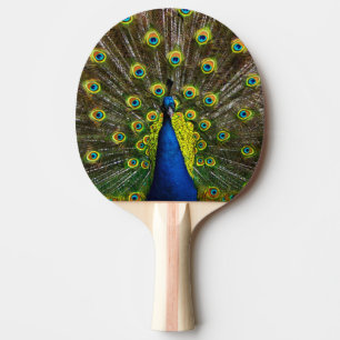 Raquette De Ping Pong Colorful peacock
