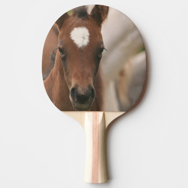 Raquette De Ping Pong Colt mignon (Devant)