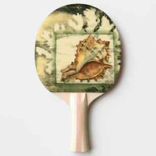 Raquette De Ping Pong Conque Shell de silhouette