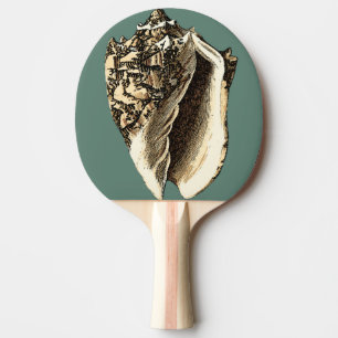 Raquette De Ping Pong Conque turquoise Shell