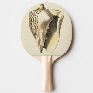 Raquette De Ping Pong Conque vintage Shell de sépia