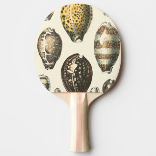 Raquette De Ping Pong Coquillages uniquement formés