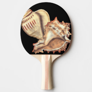 Raquette De Ping Pong Coquilles artistiques de conque