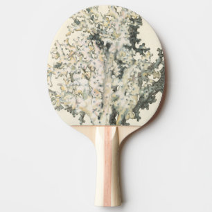 Raquette De Ping Pong Corail antique d'aquarelle