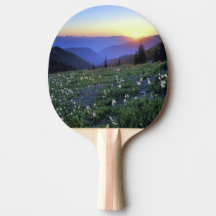 Raquette De Ping Pong Coucher de soleil à Obstruciton Point, Parc nation