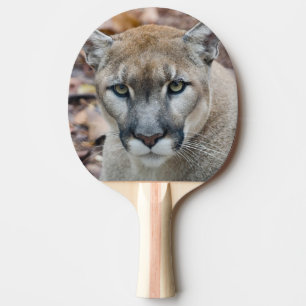 Raquette De Ping Pong Cougar, lion de montagne, panthère de Floride, Pum