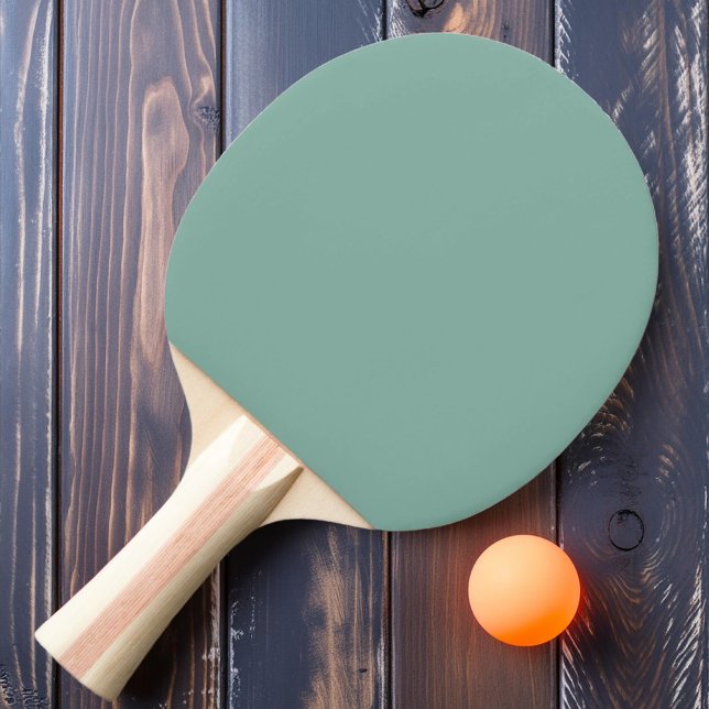 Raquette De Ping Pong Couleur Aqua Reef Solide (Créateur téléchargé)