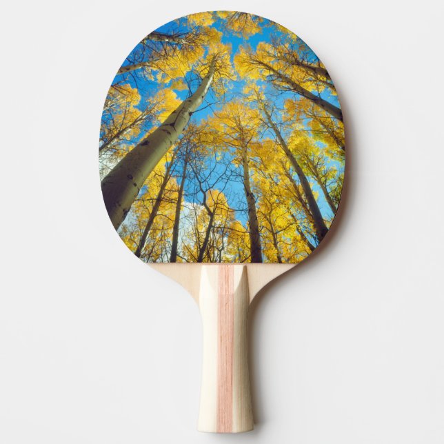 Raquette De Ping Pong Couleurs d'automne des arbres Trembles 2 (Devant)