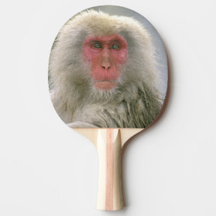 Raquette De Ping Pong Couple de singe des neiges, Macaque japonais