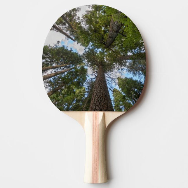 Raquette De Ping Pong couvert de sapin de Douglas (Devant)