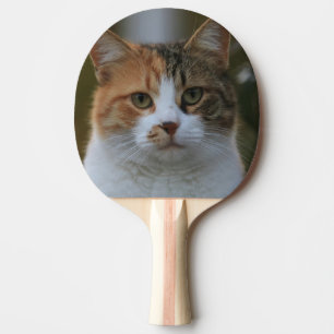 Raquette De Ping Pong Créez Votre Propre Photo Personnalisée de Chat de