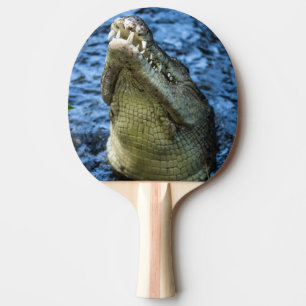 Raquette De Ping Pong Crocodile Dents Eau