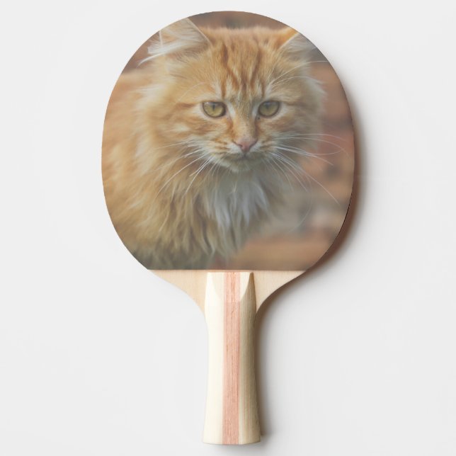 Raquette De Ping Pong Cute Funky Ginger Chat Kitten Visage (Devant)
