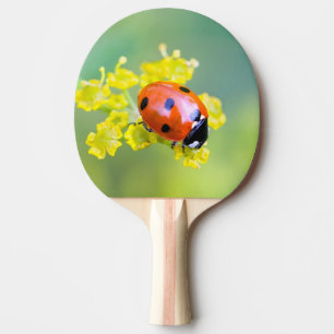Raquette De Ping Pong dame sur le dessus