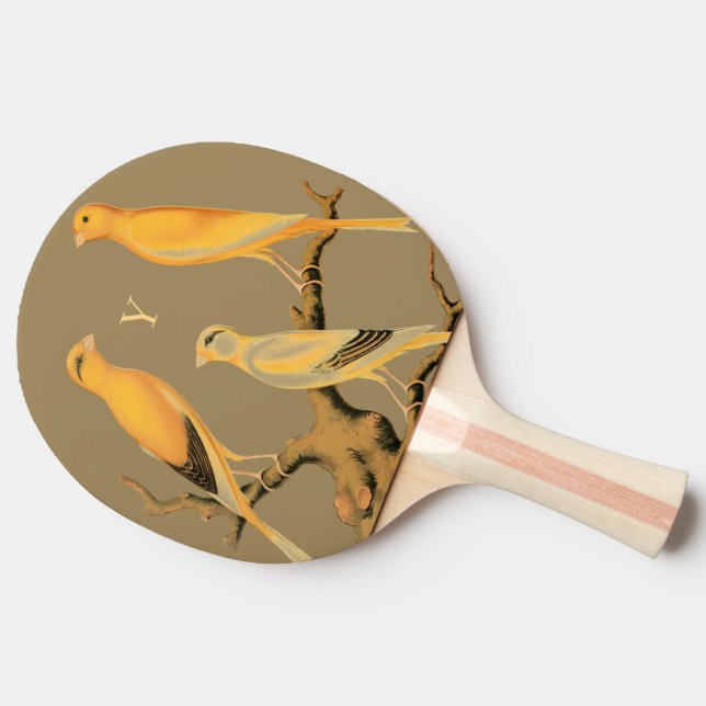 Raquette de Ping Pong – Design Canaris du Yorkshir (Côté)