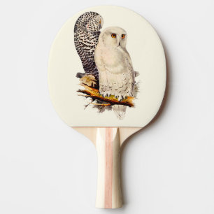 Raquette De Ping Pong Dessin de Chouette neige vintage