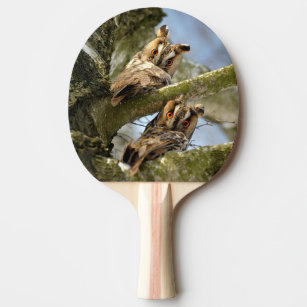 Raquette De Ping Pong Deux Chouettes dans les Bois, oiseaux, faune