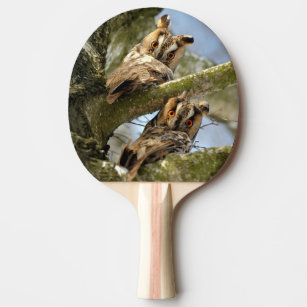 Raquette De Ping Pong Deux Chouettes dans les Bois, oiseaux, faune Ping 