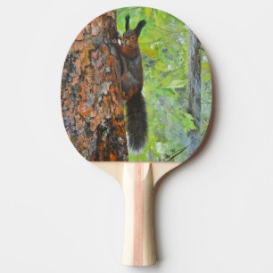 Raquette De Ping Pong Écureuil sur pin – Peinture à l'huile réaliste