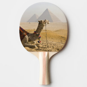 Raquette De Ping Pong Egypte, Le Caire. Un chameau solitaire