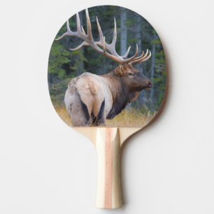 Raquette De Ping Pong Élan mâle des montagnes Rocheuses