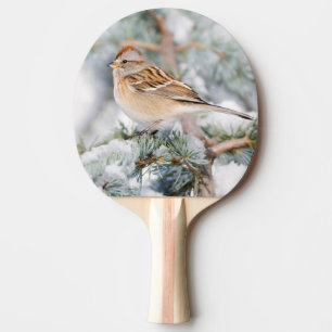 Raquette De Ping Pong Épervier américain en hiver