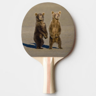 Raquette De Ping Pong États-Unis. Alaska. Oursons brun côtiers