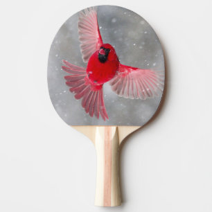 Raquette De Ping Pong États-Unis, Indiana, Indianapolis. Un cardinal mâl