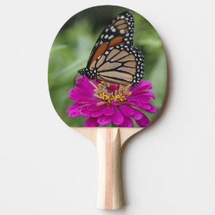 Raquette De Ping Pong États-Unis, Massachusetts, Boylston, Tower Hill