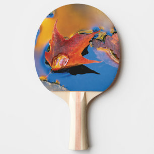 Raquette De Ping Pong États-Unis, Nord-Est, Feuille d'érable en réflexio