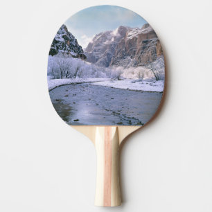 Raquette De Ping Pong États-Unis, Utah, Zion NP. De nouvelles neiges re