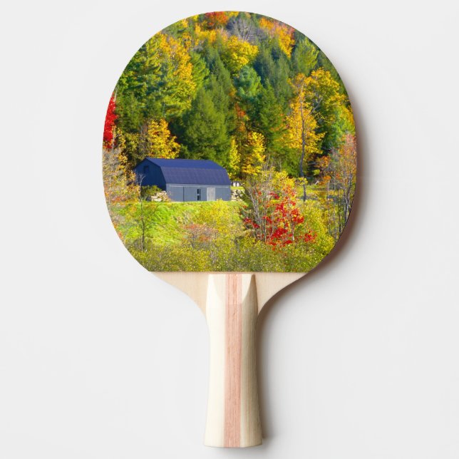 Raquette De Ping Pong États-Unis, Vermont. Feuillage d'automne le long d (Devant)