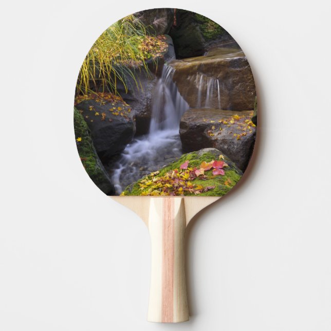Raquette De Ping Pong États-Unis, Washington, Seattle (Devant)