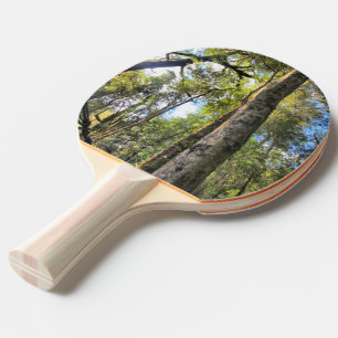 Raquette De Ping Pong Eucalyptus gommiers de la forêt pluviale australie