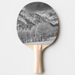 Raquette De Ping Pong Evergreens et Aspen dans une tempête de neige