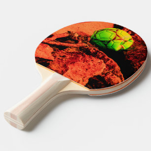 Raquette De Ping Pong explorateur de moustiques